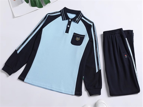 揭秘南寧校服設計核心：如何巧妙結合本地民族元素彰顯文化底蘊